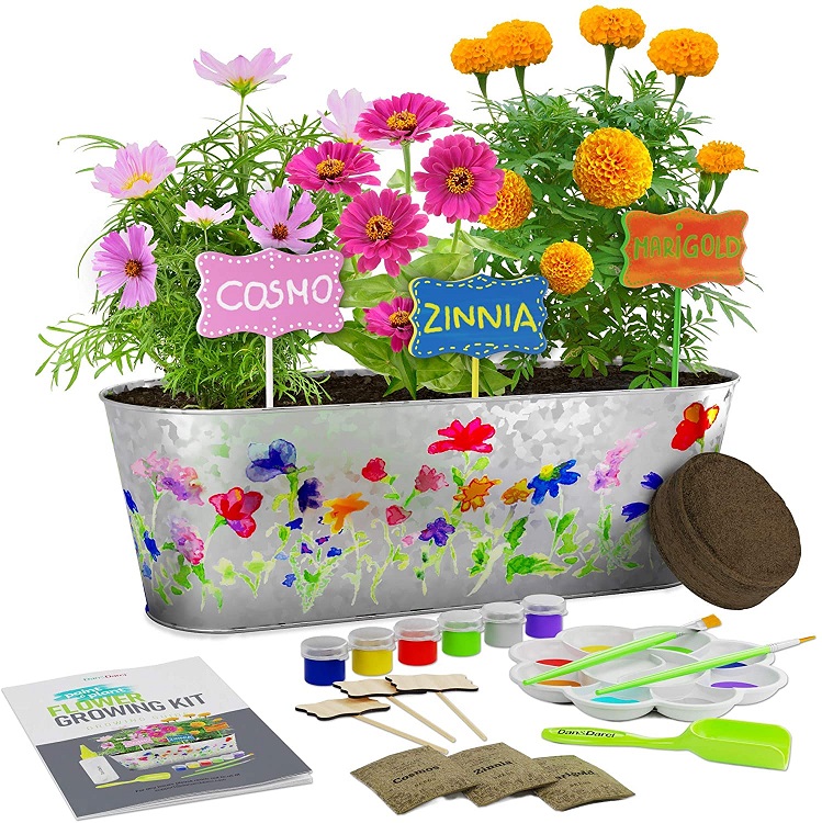 Paint & Plant Flower Growing Kit